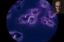 Правда о прививках. СОВЕТУЮ ВСЕМ смотреть!!! ЭТО НАДО ЗНАТЬ – смотреть видео онлайн в Моем Мире | Ольга Фёдорова