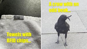 These 27 Photos Highlight The Small Things In Life