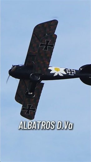 WW1 Recreation #albatros #aviationhistory #vintageaircraft #ww1