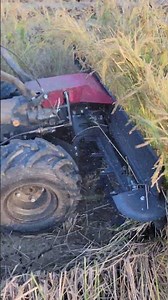 Fast-Working Reaper Machine Making Harvest Easy 🌾✨ | #USA