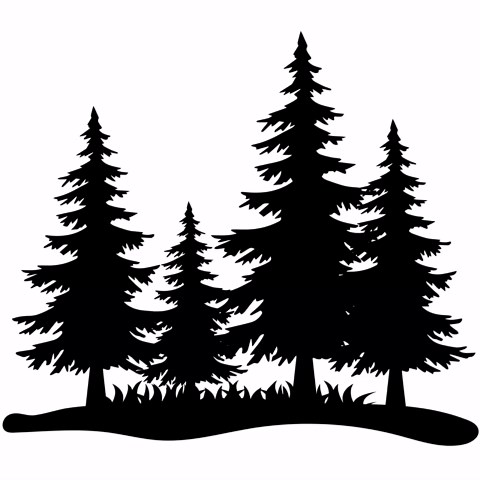 Evergreen Trees SVG Bundle: Pine, Fir, Forest Mountain Designs (instant Download) - Etsy