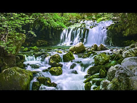 [4K] 初夏の蓼科大滝と苔むす森 / 癒しの自然音 - Tateshina Waterfall with relaxing nature sounds - (shot on BMPCC6K)