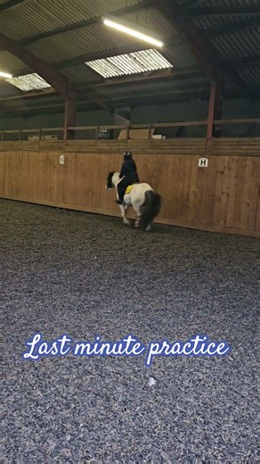 jumping lesson #horse #equestrian #pony #horseriding #horsegirl #fyp #showjumping #riding #funtimes