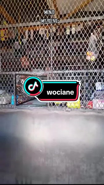 Menzi - My Friend (Lyrics) | Maskandi Vibes