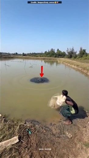 Building Wooden Log Cabin in Forest 🧐😍 _ Survival House Step by Step”99 #shorts #viral #fact