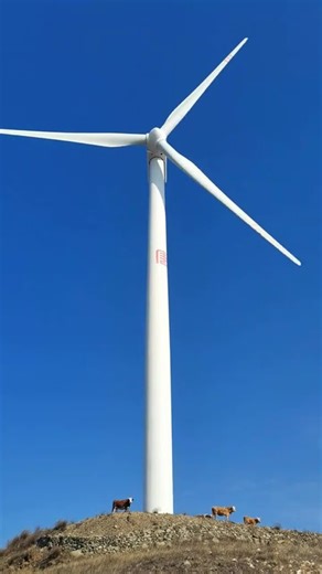 我追求极致的自由，我不讨好任何人，也不顺从别人，我只顺从我自己。#自由是灵魂的氧气 #走自己的路看自己的风景 #想去的地方总有一天会抵达