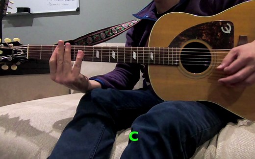 Paul McCartney - Bluebird (Live) 弹唱教程