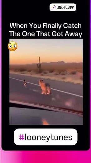 75 Years Of Explosive Failures, Falling Anvils, & Endless Meep Meeps Echoing In The Desert Sunset 🌄