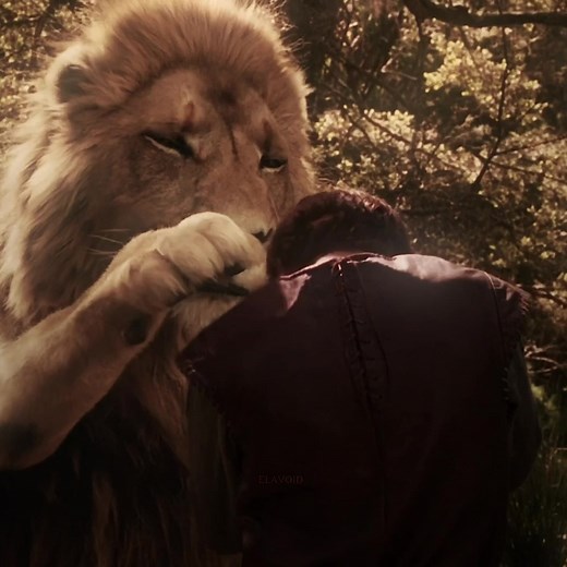 Peter Pevensie: The Heart of Narnia