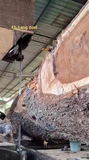 Big Pin Oak Milling Process Revealed!