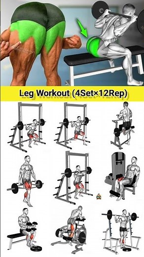 Day-30/most effective Leg Exercise 🔥