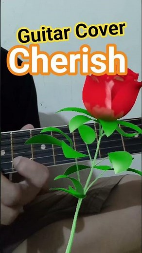 Intro Cherish, Cover Version