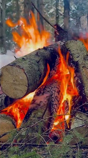 ASMR Fire Sounds for Deep Relaxation.Crackling Fireplace Ambience #asmr #fire #relax #nature #peace