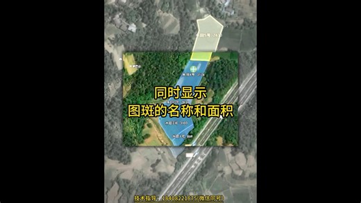 同时显示图斑的名称和面积，直观查看和统计#Bigemappro国产软件