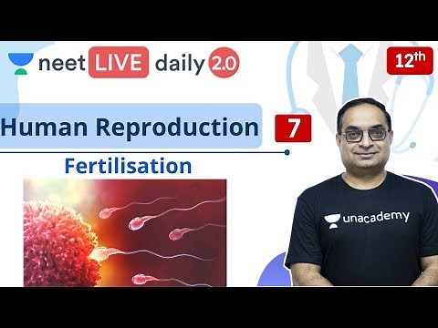NEET Biology: Human Reproduction - L7 | Class 12 | Live Daily 2.0 | Unacademy NEET | Sachin Sir