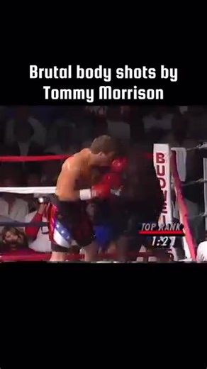 Brutal body shots by Tommy Morrison knockouts_videos 🥊 #rockybalboa #boxinglifestyle #boxingfamily #boxingtraining #boxinghistory #boxingday #boxinglife #boxing👊 #boxinggym #boxingworkout #boxinggloves #boxingworld #boxingnews #boxing #boxer #fight #knockout #sport #legend #goat #champion #rocky #boxingcoach #boxingclub #bodyshots #boxingfitness #brutal #boxinglegend #tommymorrison #boxingmotivation | Real Street Fighter