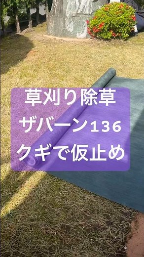 １５秒で簡単に人工芝の張り方を説明 #庭師のvlog
