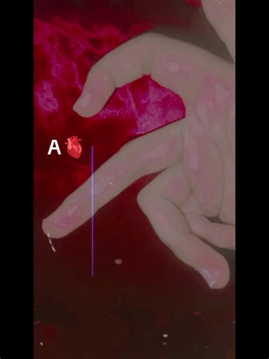 Tum he ho A (@tum.he.ho.a)’s videos with original sound - Tum he ho A