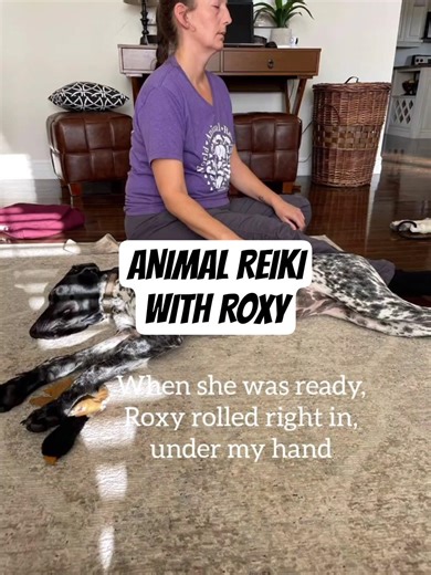 ANIMAL REIKI session with Roxy