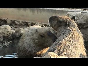 Zeus and Prometheus Have Such an Interesting Relationship