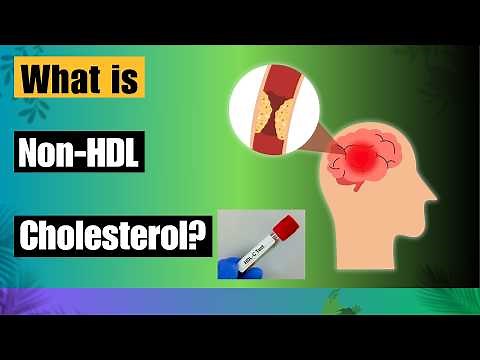 What is Non-HDL Cholesterol? Everything You Need to Know