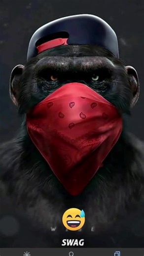 Videos de monkeysaudio (@monkeysaudio) con “sonido original - Panterita1680”