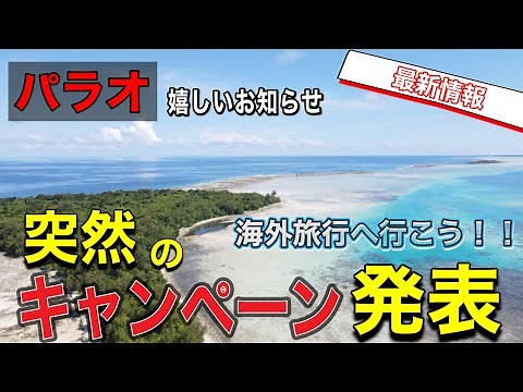 【世界遺産の海】本当に大丈夫？パラオの今は【4k】
