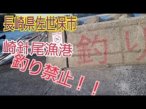 エギングしに行ったら……長崎県佐世保市 崎針尾漁港 釣り禁止？