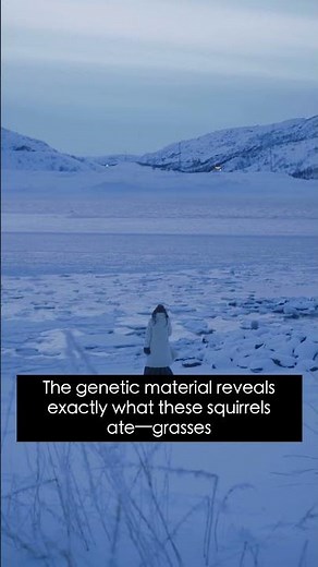 Frozen Squirrel Poop Reveals Ice Age Food Webs