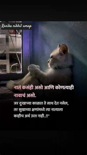 कुणाच्या सुखात साथ नाही दिलीतरी चालेल पण दुःखात द्यायला हवी तेच नात खर ठरत🙏