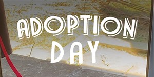 Adoption Day