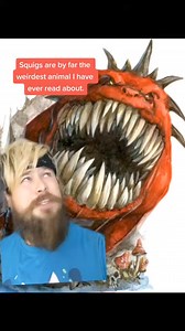 80K views · 1.6K reactions | The Whacky world of Squigs. #warhammer #warhammer40k #rpg #ttrpg #orcs #learnontiktok #nature | The Gaming Storyteller | Facebook