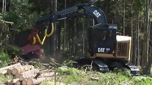 Cat 501HD Track Harvester with a PD-57 Harvester Head | Forestry Equipment in Action