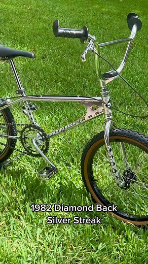 1982 Diamond Back Silver Streak Old School BMX Bike