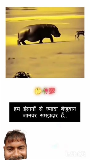 हम इंसानों. Se jyada to जानवर समझदार हैं