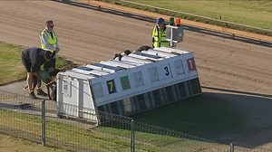 10K views · 185 reactions | Another almost double figure odds winner from our free #greyhoundtips yesterday  Maximum Lyn gets up over the Warrnambool 650m paying $9.50 SP for followers #GreyhoundRacing All tips are free and light years ahead of the "market order" touts from the marketing depts. https://australianracinggreyhound.com/tips/ | Australian Racing Greyhound | Facebook