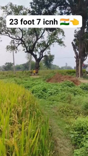 10K reactions · 258 shares | Long jump practice #reels #reelssinstagram #instagram #instagood #longjump #sport #video #shortsviral | Vivek Jumper India | Facebook
