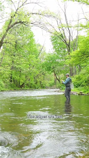 Wild Brown Trout Nymphing in Southeast PA | John Parisi