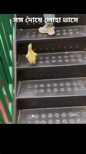 1.8M views · 10K reactions |  | Elegant Fashion Gallery | Facebook