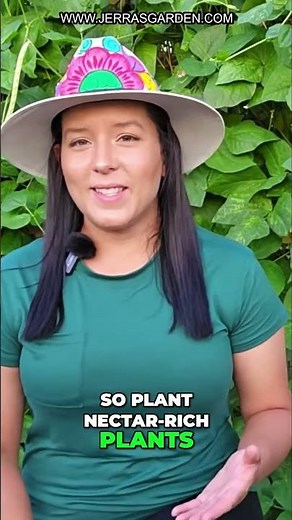 What To Plant For Butterflies, Bees, & Birds