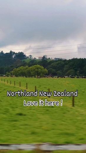 Northland farmland. Love it here!! #northland #newzealand #loveithere #highlights #reelsvideoシ #myjourney #followmeonfacebook #SupportSmallContentCreator | Pchily Spikes
