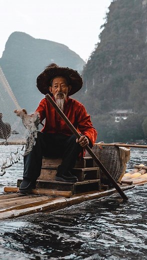 JOTA on Instagram: "Lao Huang, an elderly fisherman from Yangshuo, China, continues the ancient practice of cormorant fishing on the Li River. In this tradition, cormorants are trained to catch fish, with a ring around their necks to stop them from swallowing their catch. Once a key part of local life, cormorant fishing is now rare and mostly performed for tourists. Lao Huang’s dedication helps keep this tradition alive. *posting for educational purposes"