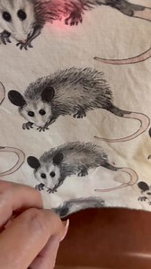 4.3K views · 244 reactions | Wee dog caught bunny. The sweet Finder will be walking her dog on a leash a few weeks to give the babies chance to grow. Once a cat or dog brings a baby up~they know there are more to get. So it’s very important to bring cats indoors and walk your dogs on a leash for a few weeks to ensure the babies can grow and takeoff on their own. Sadly this baby did not make it. | Wild at Heart Rescue | Facebook