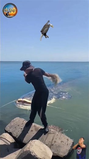 UNLUCKY CAST NET FAIL! Giant Catfish Escapes at the Last Second 😱