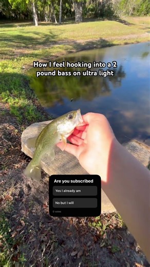 How I feel hooking into a 2 pound #shorts #fishing #viral #trending #fyp #subscribe