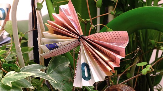 Geld verschenken: Auch bei kleinen Beträgen, muss das Finanzamt informiert werden