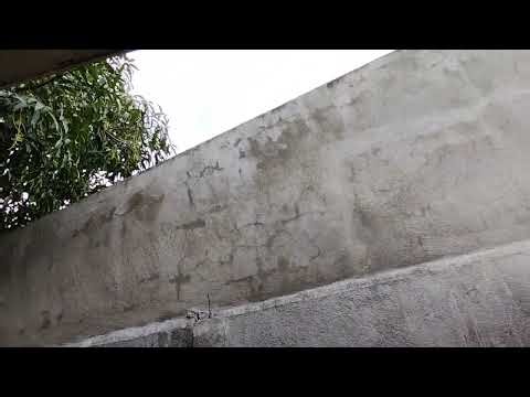 Airbus A320Neo Take off