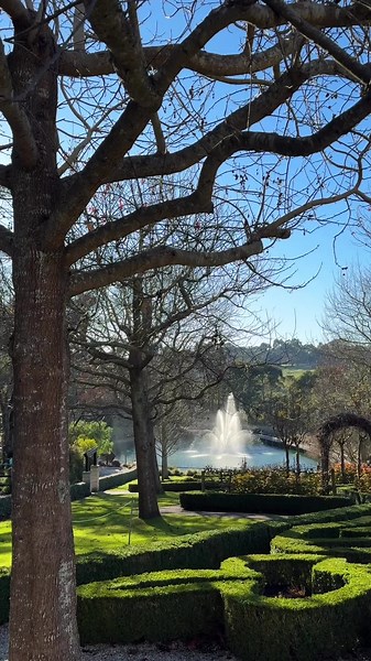 Enchanted Adventure: Winter Fun at Mornington Peninsula