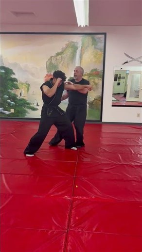 SOS Kung Fu Technique of the Month #martialarts #kungfu #SanSoo