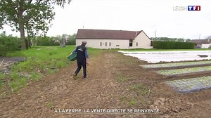 Des agriculteurs se diversifient pour continuer d'attirer les clients. À l'exemple de la vente directe à la ferme. Reportages dans des exploitations du Nord et du Pas-de-Calais. | TF1 INFO
